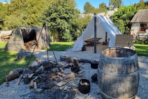 Half-Day Tour - EAST AUCKLAND Explorer & Scenic Ferry Return