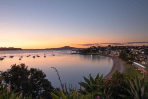 Half-Day Tour - EAST AUCKLAND Explorer & Scenic Ferry Return