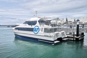 Half-Day Tour - EAST AUCKLAND Explorer & Scenic Ferry Return