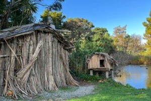 Half-Day Tour - EAST AUCKLAND Explorer & Scenic Ferry Return