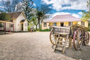 Half-Day Tour - EAST AUCKLAND Explorer & Scenic Ferry Return
