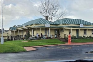 Half-Day Tour - EAST AUCKLAND Explorer & Scenic Ferry Return