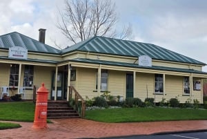 Half-Day Tour - EAST AUCKLAND Explorer & Scenic Ferry Return