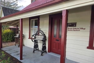 Half-Day Tour - EAST AUCKLAND Explorer & Scenic Ferry Return