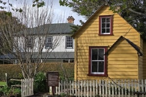 Half-Day Tour - EAST AUCKLAND Explorer & Scenic Ferry Return