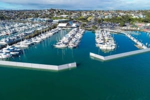 Half-Day Tour - EAST AUCKLAND Explorer & Scenic Ferry Return