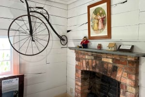 Half-Day Tour - EAST AUCKLAND Explorer & Scenic Ferry Return