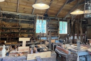 Half-Day Tour - EAST AUCKLAND Explorer & Scenic Ferry Return