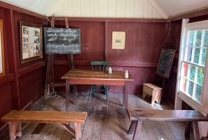 Half-Day Tour - EAST AUCKLAND Explorer & Scenic Ferry Return