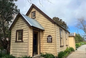 Half-Day Tour - EAST AUCKLAND Explorer & Scenic Ferry Return
