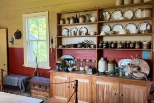 Half-Day Tour - EAST AUCKLAND Explorer & Scenic Ferry Return