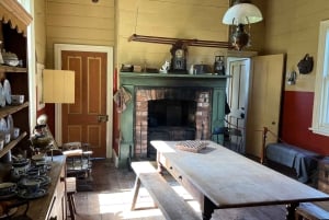 Half-Day Tour - EAST AUCKLAND Explorer & Scenic Ferry Return