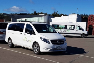 HF3S - Hobbiton, Rotorua and Waitomo Caves Supercharged
