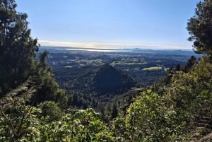 Auckland: Vandring i West Aucklands regnskog och vattenfall