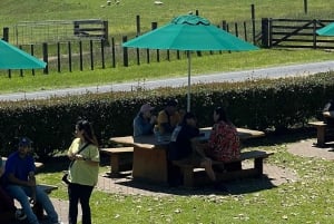 Hobbiton - 1-dniowa wycieczka z Auckland