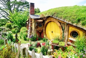 Hobbiton, Rotorua & Waitomo Caves Day Tour from Auckland