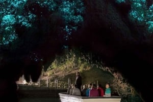 Hobbiton & Waitomo Caves Private Day Tour from Auckland