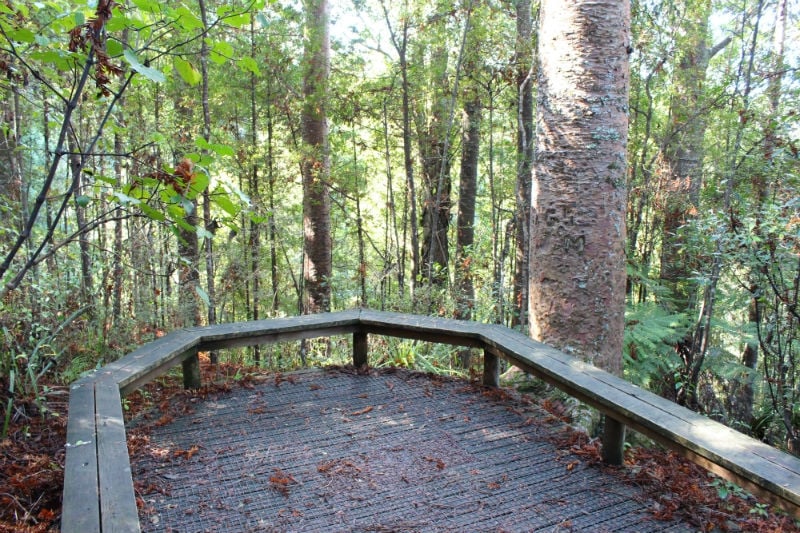 Kauri Park
