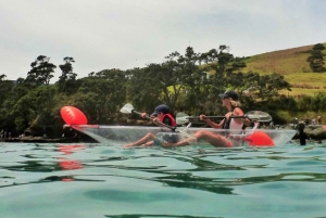 Leigh: Goat Island 60-Minute Clear Kayak Rental