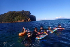 Leigh: Goat Island Guided Snorkeling Tour for Beginners