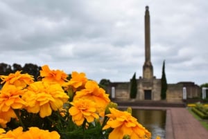 Luxury Auckland Maori Tour