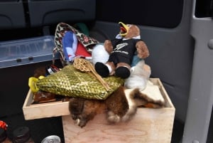 Luxury Auckland Maori Tour