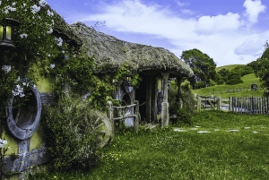 Luksuriøs dagsomvisning – Hobbiton-filmusett, Rotorua og Treewalks