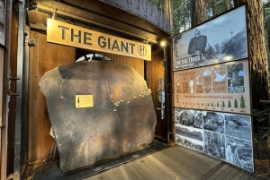 Luksuriøs dagsomvisning – Hobbiton-filmusett, Rotorua og Treewalks