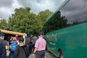 Luksuriøs dagsomvisning – Hobbiton-filmusett, Rotorua og Treewalks