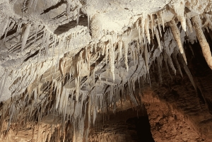 Luksuriøs dagsomvisning: Waitomo Glowworm Caves og Hobbiton Movie Set
