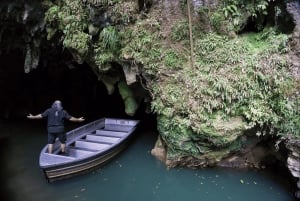 Luksuriøs dagsomvisning: Waitomo Glowworm Caves og Hobbiton Movie Set