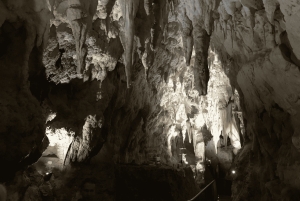 Luksuriøs dagsomvisning: Waitomo Glowworm Caves og Hobbiton Movie Set