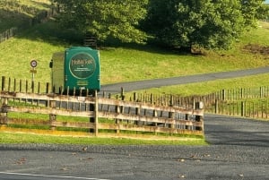 Luksuriøs dagsomvisning: Waitomo Glowworm Caves og Hobbiton Movie Set