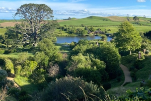 Magiske Hobbiton og Waitomo-grottene – liten gruppe fra Auckland