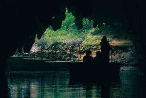 Magiske Hobbiton og Waitomo-grottene – liten gruppe fra Auckland