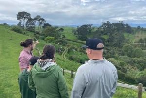 Magiske Hobbiton og Waitomo-grottene – liten gruppe fra Auckland