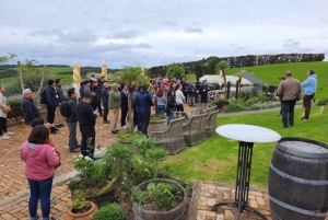 Waiheke Island: Maori Cultural Tour with Lunch