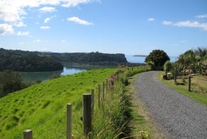 Matakana Region Wine & Cheese Tasting Getaway Tour