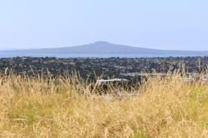 Maungarei / Mount Wellington Domain