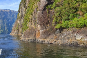 Milford Sound, Mount Cook & More: 4 Day Tour from Auckland