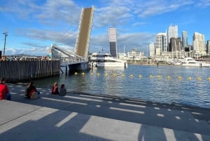 Traslados en minibús desde la ciudad de Auckland al aeropuerto de Auckland