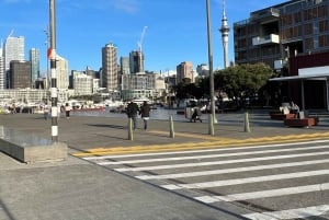 Traslados en minibús desde la ciudad de Auckland al aeropuerto de Auckland