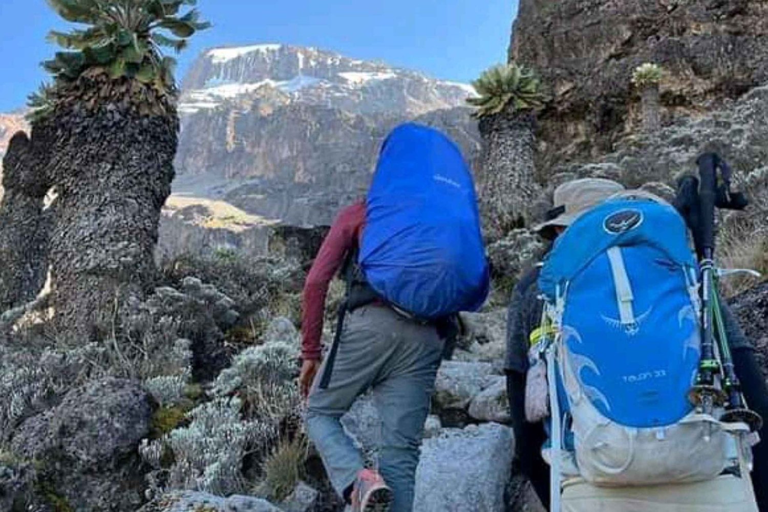 Monte Kilimanjaro: 7 dias de caminhada - Rota Lemosho