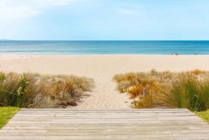 Mount Maunganui Beach Escape: Naturskøn dagsudflugt fra Auckland