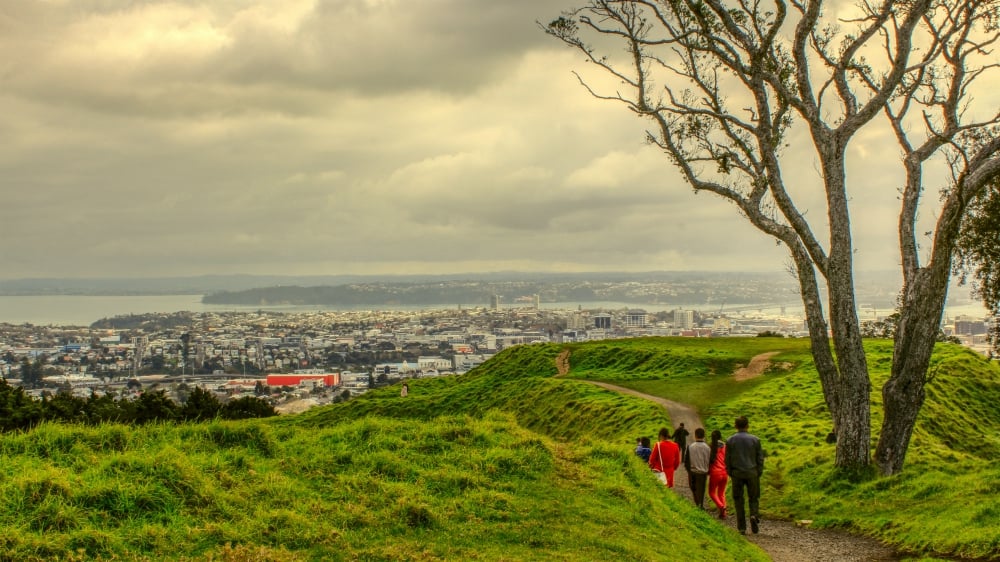 Best Things To Do Near Auckland Airport