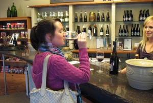 Muriwai Beach and Wine Tour
