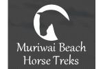 Muriwai Beach Horse Treks