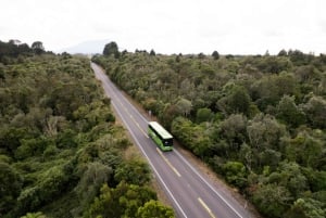 New Zealand: Nordøya Hop-On Hop-Off Pass