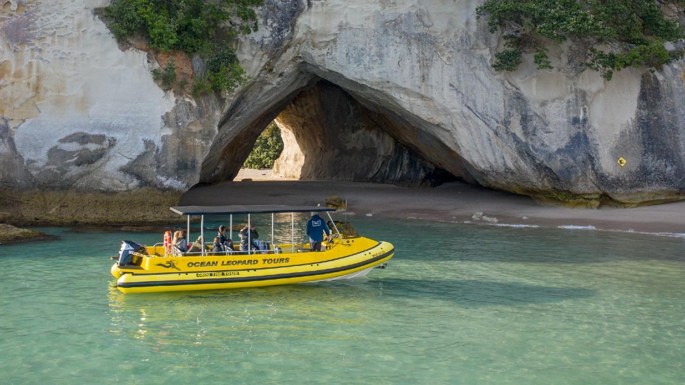 Ocean Leopard Tours Cathedral Cove Boat Tour