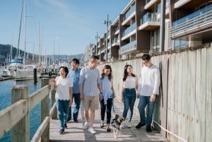 Fotosession in Auckland